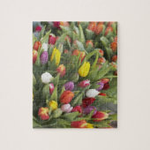 Bündel der bunten Tulpen Puzzle (Vertikal)