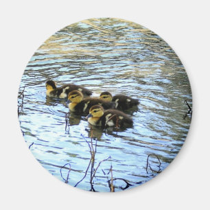 Bündel des Babys duckt Magneten Magnet