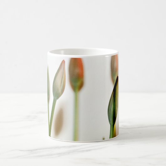 Bündel Kaffeetasse (Mittel)