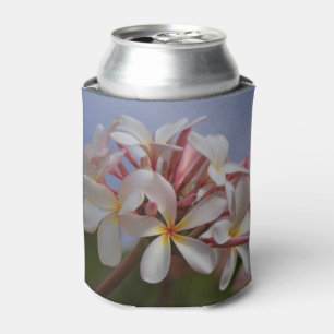 Bündel Plumeria Dosenkühler
