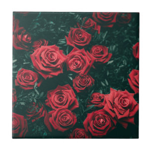 Bündel rote Rosen Fliese