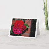 Bündel Rote Rosen Karte (Vorderseite)