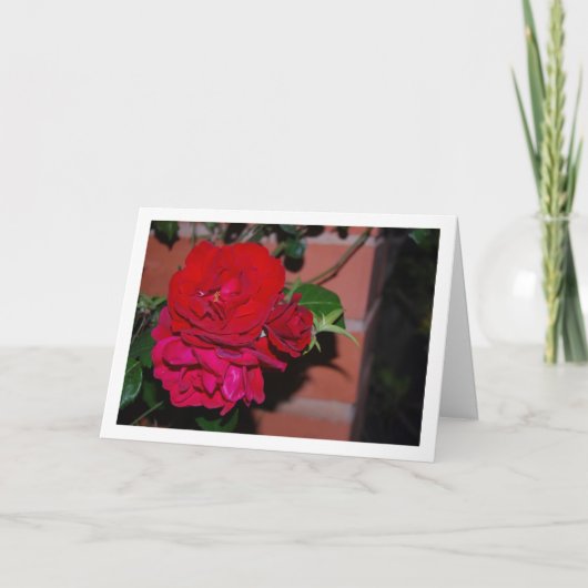 Bündel Rote Rosen Karte (Vorderseite)