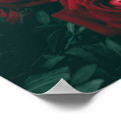 Bündel roter Rosen Poster (Ecke)