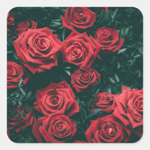 Bündel roter Rosen Quadratischer Aufkleber
