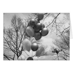 Bündel von Ballons im Freien B&W im niedrigen Wink