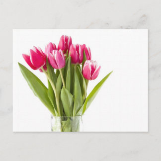 Bündel von roten und weißen Tulpen in Glasvase Postkarte