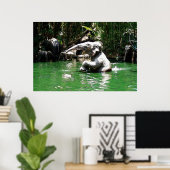 Bungle im Dschungel 36 x 24 Poster (Heimbüro)