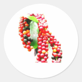 Buni Berry - Seltene indonesische wilde Beerenfruc Runder Aufkleber