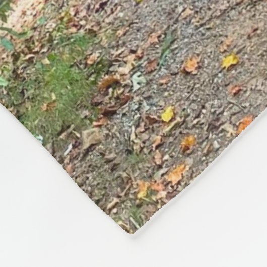 Bunker Hill Covered Bridge Fleecedecke (Ecke)