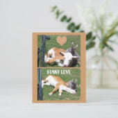 BUNNIE LIEBEN CALF POSTKARTE (Stehend Vorderseite)