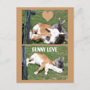 BUNNIE LIEBEN CALF POSTKARTE