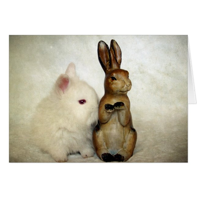 Bunnies (Vorderseite (Horizontal))
