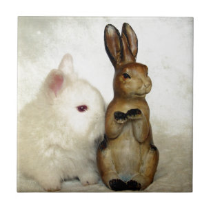 Bunnies Fliese
