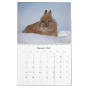 Bunnies großer Wall-Kalender Kalender (Jan 2026)