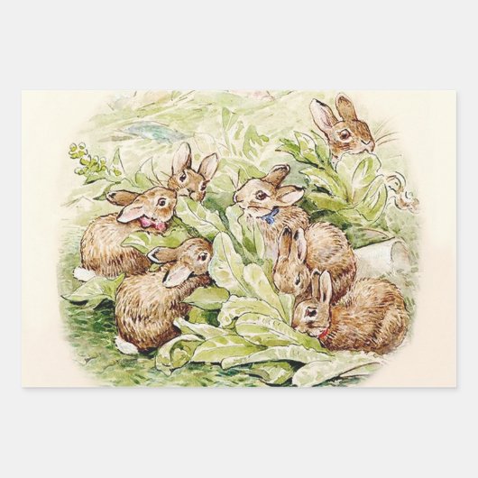 Bunnies in Lettuce Patch von Beatrix Potter Geschenkpapier Set (Vorderseite 2)