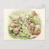 Bunnies in Lettuce Patch von Beatrix Potter Postkarte (Vorderseite)