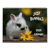 Bunnies Large Wall Calendar Kalender (Titelbild)