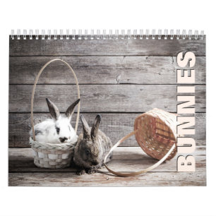 Bunnies-Mauerkalender 2022 Kalender