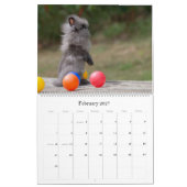 Bunnies-Mauerkalender 2024 Kalender (Feb 2027)