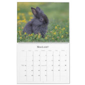 Bunnies-Mauerkalender 2024 Kalender (Mär 2027)