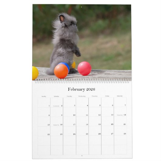 Bunnies-Mauerkalender 2024 Kalender (Feb 2026)