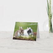 Bunnies mit Ostern Feiertagskarte (Vorderseite)