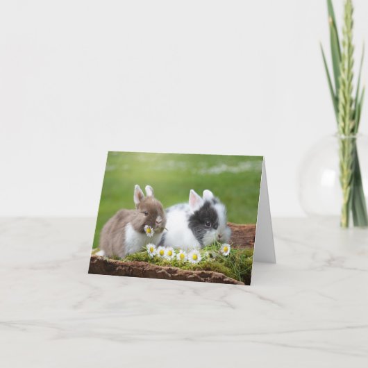 Bunnies mit Ostern Feiertagskarte (Vorderseite)