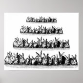 Bunnies Poster (Vorne)