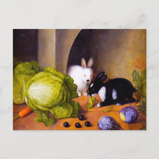Bunnies Postkarte (Vorderseite)