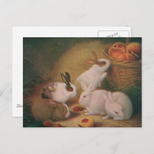 Bunnies Postkarte (Vorne/Hinten)