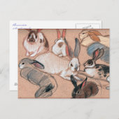 Bunnies Postkarte (Vorne/Hinten)