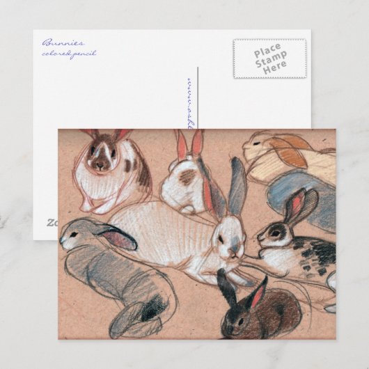 Bunnies Postkarte (Vorne/Hinten)