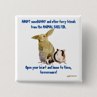Bunnies und andere Zornfreunde brauchen liebevolle Button