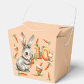 Bunnies und Carrots 10. Geburtstagsparty Geschenkschachtel (Vorderseite)