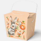Bunnies und Carrots 6. Geburtstagsparty Geschenkschachtel (Vorderseite)