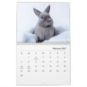 Bunnies Wall Calendar Kalender (Feb 2027)