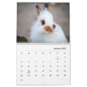 Bunnies Wall Calendar Kalender (Jan 2027)