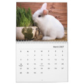 Bunnies Wall Calendar Kalender (Mär 2027)