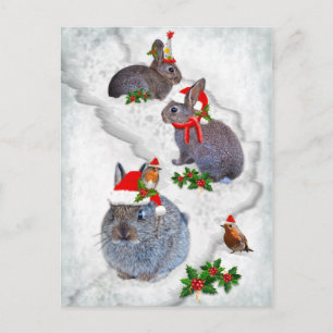 Bunnies Weihnachts-Party Postcard Postkarte
