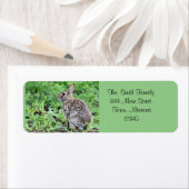 Bunny (Insitu)
