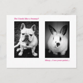 Bunny and French bulldog Postkarte
