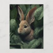 Bunny and plant postcard postkarte (Vorderseite)