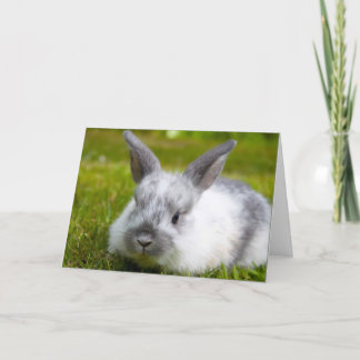 Bunny Birthday Card Karte