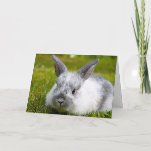 Bunny Birthday Card Karte (Vorderseite)