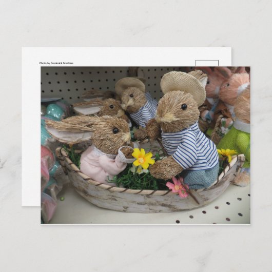 Bunny Boat Postkarte (Vorne/Hinten)