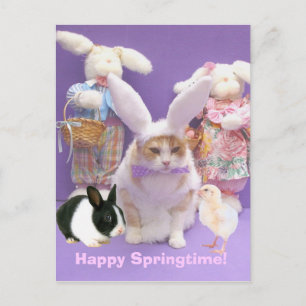 Bunny Bubba 2 Postkarte