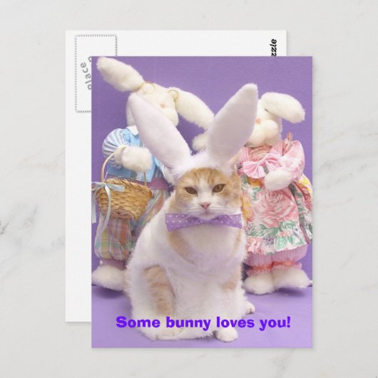 Bunny Bubba 3 Postkarte (Vorne/Hinten)