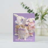 Bunny Bubba Postkarte (Stehend Vorderseite)