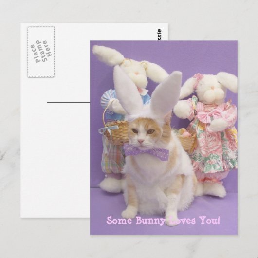 Bunny Bubba Postkarte (Vorne/Hinten)